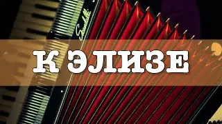К Элизе на аккордеоне