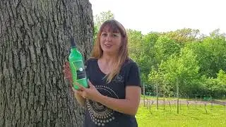 Emerald Apple