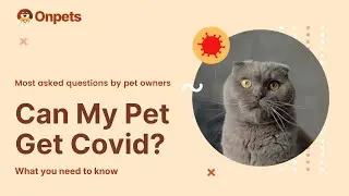 Can my pets get Covid? (Myth vs. Reality)