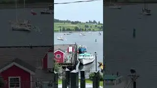 Misty Nova Scotia 🇨🇦 #4kwalk #travel #walking4k #traveldestinations #walkingtour #canada