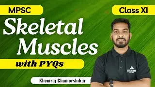 Skeletal muscles (Marathi) Complete video @AeonIAS MPSC Science by Khemraj sir | Class XI | MPSC