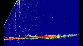 Active Target 2 + Elite fs 9 (25.1updated)(10m deep& 25m foward) 1