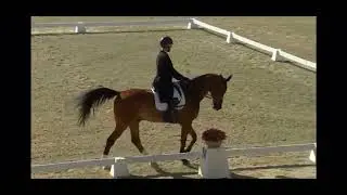 The Dutch Horse, CCI3*-S Avenches 2023, Dressage
