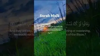 Heartfelt Quran That Enters the Soul | Surah Al-Mulk Recitation for Deep Sleep | #surahmulk #shorts