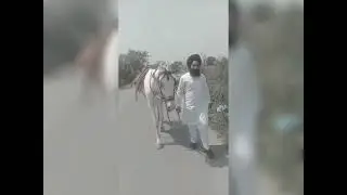 #short #shortvide #bandisingh #insafmorcha #viralvideo