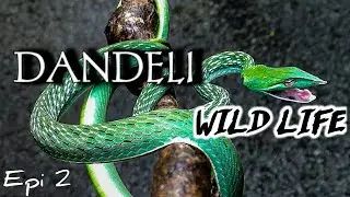 Dandeli -WILD LIFE SANCTUARY Jungle Safari ; Epi.2