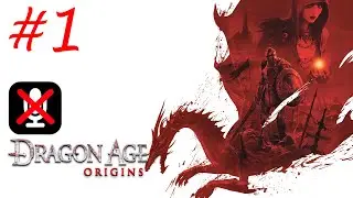 Dragon Age: Origins #1 - Гордость Эдукана