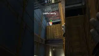 use this molly to take sidehall control on Vertigo #csgo #csgotips #shorts