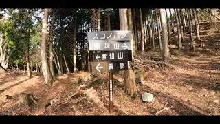 霊仙山登山口から権現山・ホッケ山 (比良山系)
