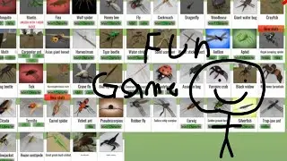 Insect sandbox.