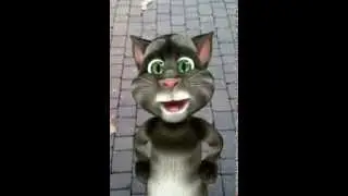 hai rotto il c....