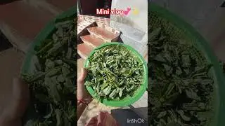 📌Farmar life✨💔 #mini vlog💞 #youtubeshorts #Tripura girl #villagelifestyle #wpstatus #radhekrishna