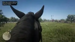 RDR2 performance test on 3080