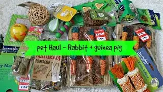 Rabbit and Guinea Pig Pet Hut Haul | August 2014