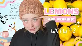 Character Development, Life Lessons, & Lemons | What I Learned This Week EP 2
