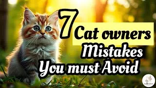 Cat owners be like : Cat owner tips for preventing cat owners' mistakes!