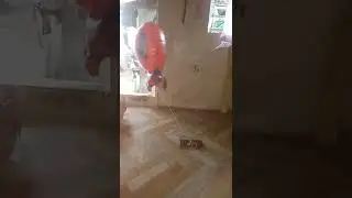 Flying Spiderman Balloon 🌈🌈#shorts #viral #trending #satisfying #asmr #spiderman |LhangTambuli
