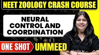 NEURAL CONTROL AND COORDINATION in 1 Shot: All Concepts, Tricks & PYQs | NEET Crash Course | Ummeed