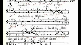 Alleluia: Dies sanctficatus - Graduale Triplex