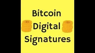 Bitcoin & Blockchain & Wordpress For Beginners
