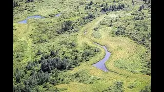 Wetlands of the Champlain Valley | Talks & Walks on UVM's Wild Side