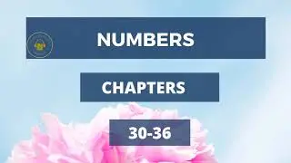 BIBLE KJV AUDIO &ndash; Numbers Chapters 30-36 THE BEST NARRATOR 🎙️📕