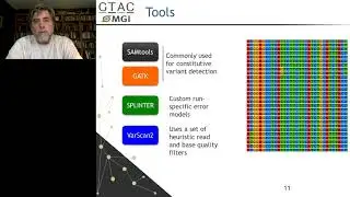 Tissue and cfDNA Rare Alleles: How Low Can We Go?
