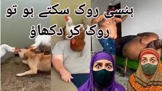 Try not to laughing big challenge 🤨| memes clips 🥴| MA vibe review Indian restaurant |roasting video