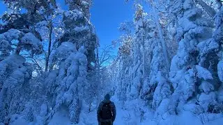 Гора Голец Приморского края, январь 2025.