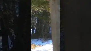 Airsoft Zoom Camera 📸