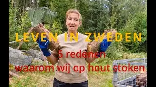 LEVEN IN ZWEDEN 5 Redenen waarom wij op hout stoken