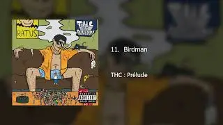 Ratus - THCP :  Birdman