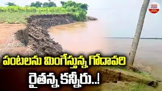 పంటలను మింగేస్తున్న గోదావరి..రైతన్న కన్నీరు.!| Heavy Flood In Godavari River | Crop Damage | ABN