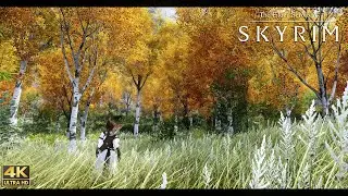 [4K] Skyrim Ultra Modded 1100+Mods | TKV6 1.13 for NAT 3.0.3 | w/modlist