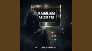 Angles Morts