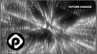 [FUTURE GARAGE] Zandyr - Echoes of Your Tears