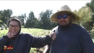 Kumala Polopolo | Tongan Youth Trust