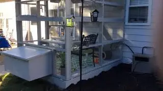 Custom Catio  with side access tunnel