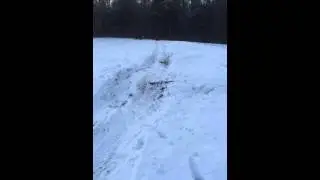 Sledding on the big hill at Walnut Springs Farm.