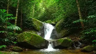 RELAXING RIVER SOUNDS ASMR | PEACEFUL WATER FLOW TO IMPROVE SLEEP, FOCUS, AND CALMNESS