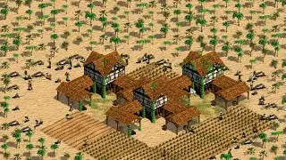 BOSQUE NADA (FOREST NOTHING?) - Age of Empires 2