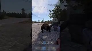 They were EVERYWHERE...