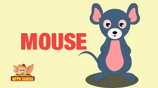 Animal Facts - Mouse