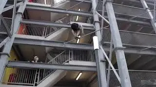 #ownthespot #parkour's first Street competition took shape in Netherlands