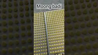 MOONG BADI Making Machine #9810345184 #jagsonsindustries #machine #food#viral#namkeenmaking