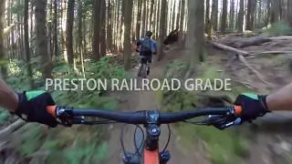 Tiger Mountain:  Preston Railroad Grade Trail