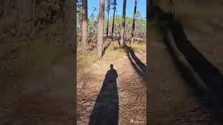 at the citrus wildlife management area near lecanto Florida.