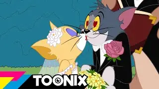 Tom & Jerry | Boms og kone | Toonix Norge 🇳🇴