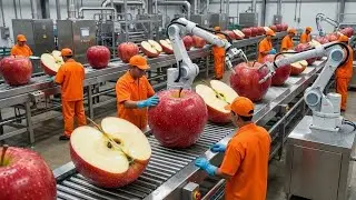 Inside a Modern Apple Factory: From Farm to Fresh Dessert (The Whole Process)