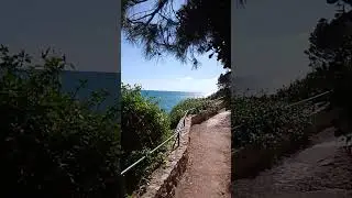 Strandweg #shorts #shortvideo